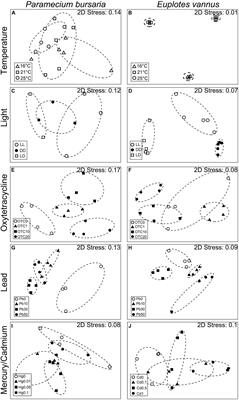 Environmental Factors and Pollution Stresses Select Bacterial Populations in Association With Protists